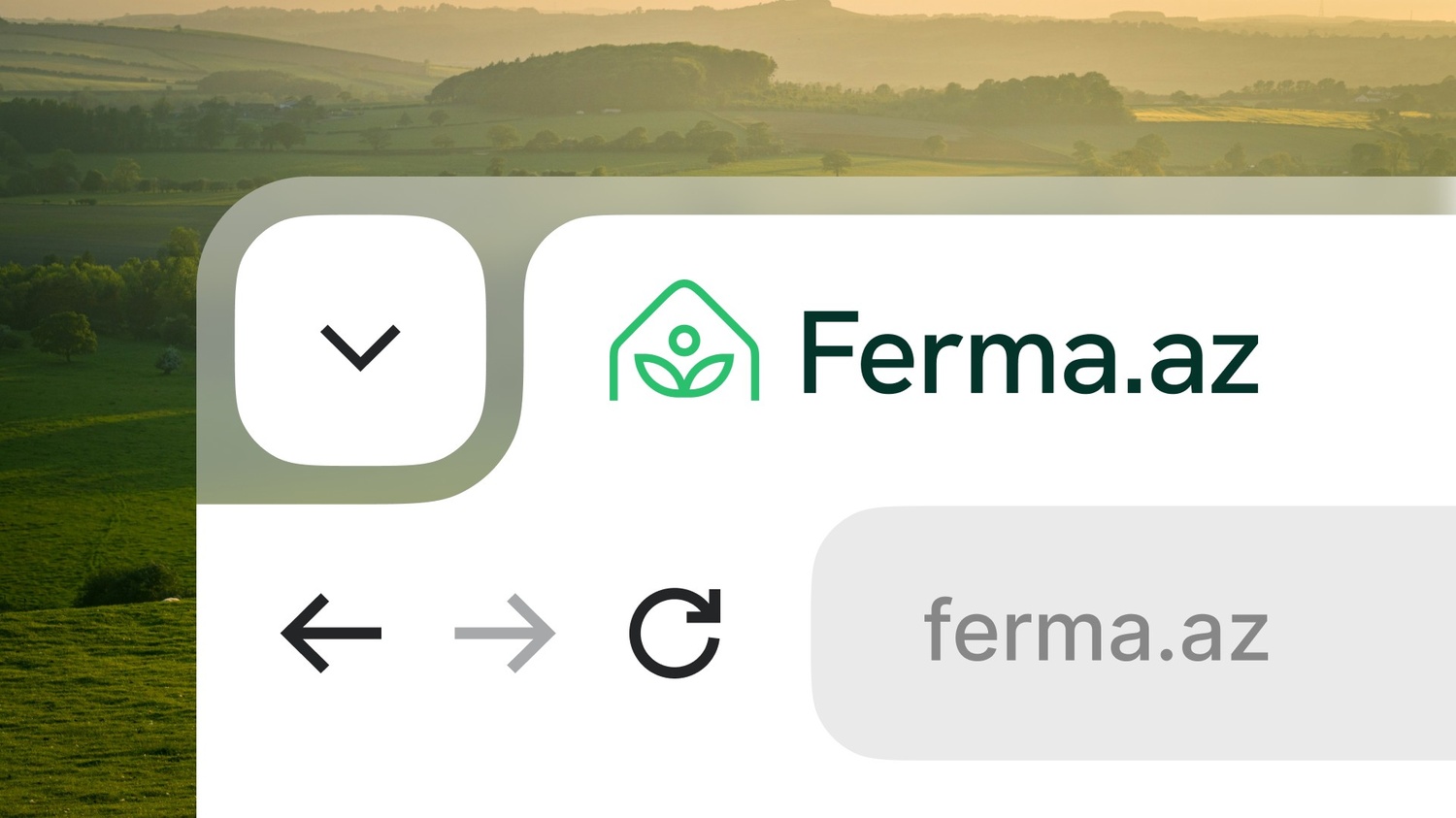 err